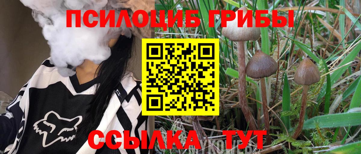 Псилоцибиновые грибы мухоморы  Псилоцибиновые грибы ЛСД  Вход с VPN  Воронеж 